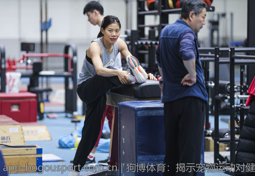 狗博体育：揭示宠物运动对健康的积极影响