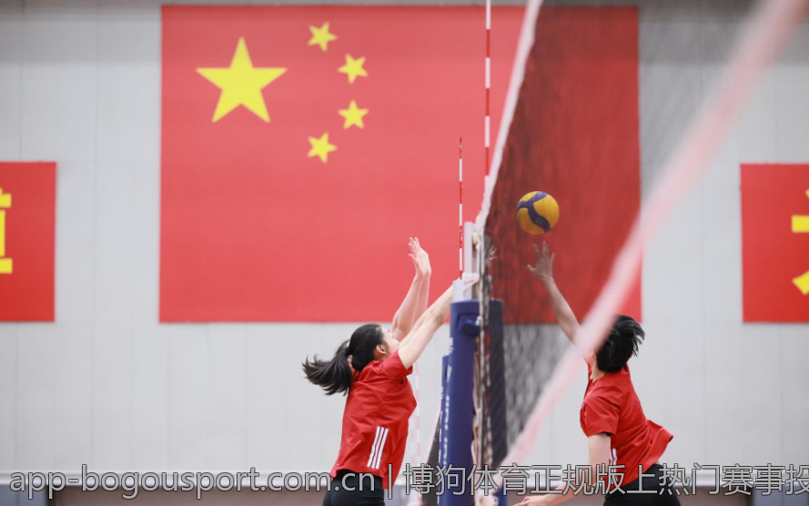 博狗体育正规版上热门赛事投注指南
